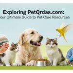 Exploring PetQrdas.com: Your Ultimate Guide to Pet Care Resources