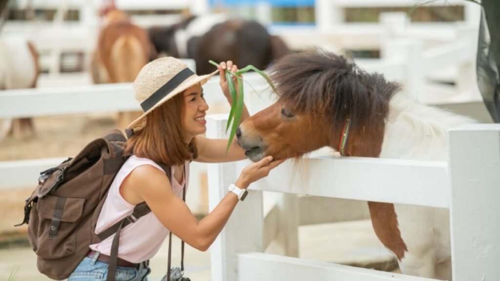 Golden Corral Prices