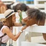 Golden Corral Prices Guide: Is It Worth the All-You-Can-Eat Experience?