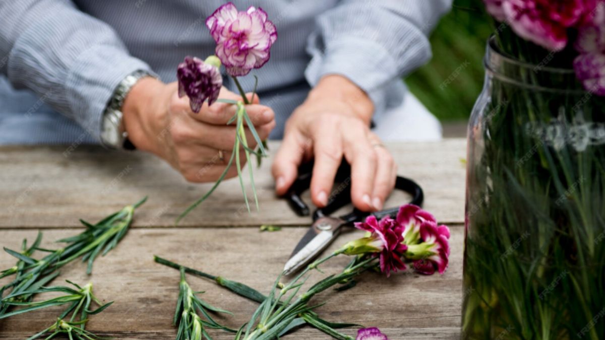 Stock Flower